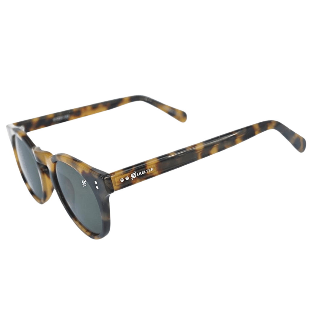 #bluelight_glasses# - #shelter_eyewear#