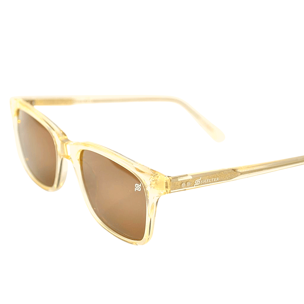 #bluelight_glasses# - #shelter_eyewear#